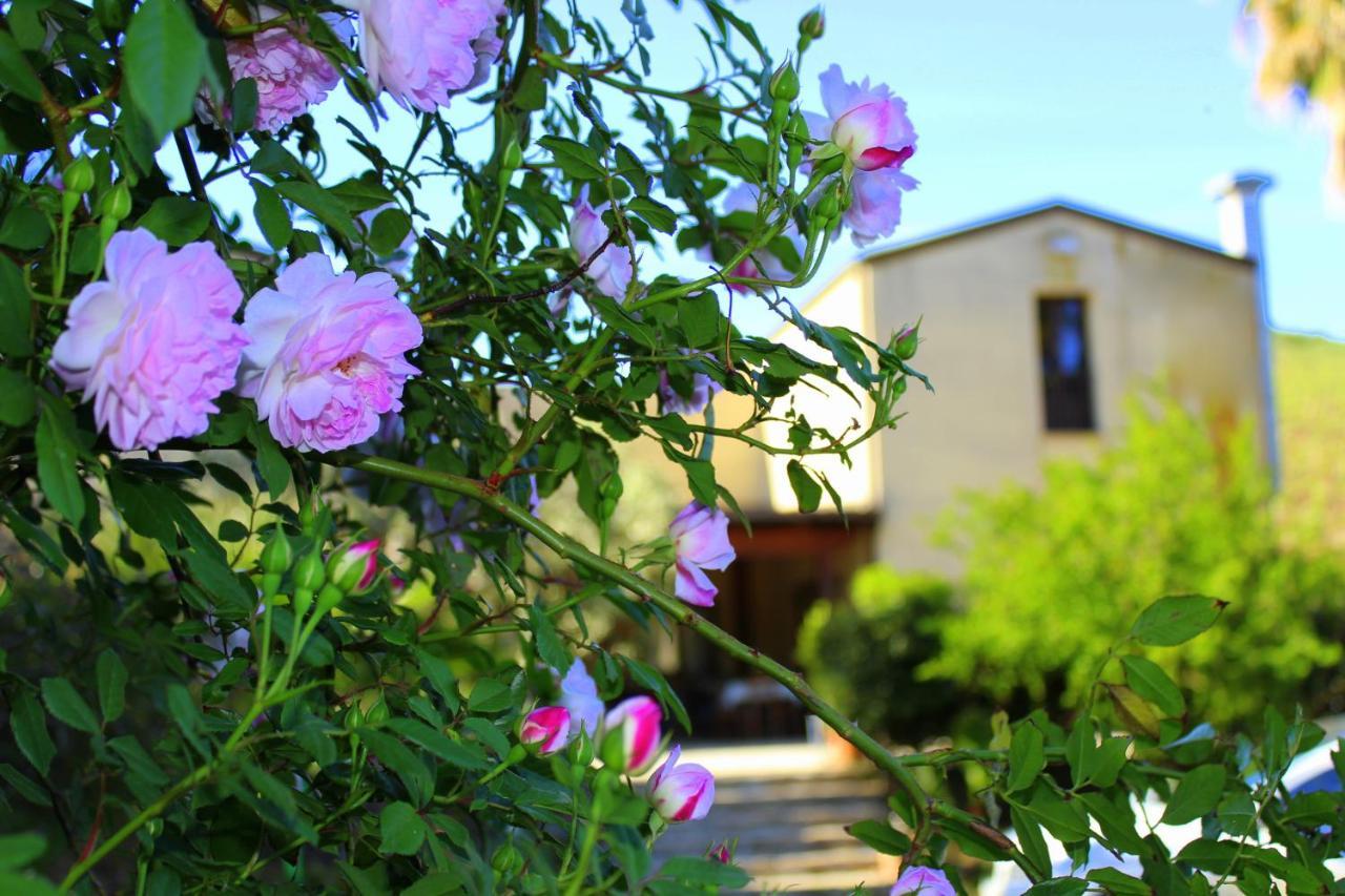 Agriturismo Tarantola Villa Alcamo Exterior photo